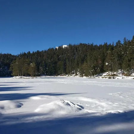 Lejlighed Haus Senn Seefeld in Tirol